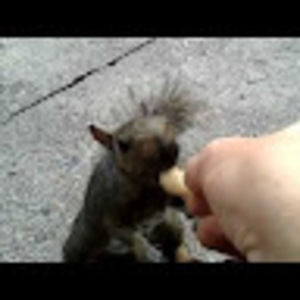 Meet your Posher, Gordon